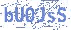 securityCode