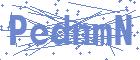 securityCode