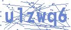 securityCode
