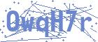 securityCode