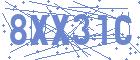 securityCode
