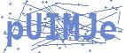 securityCode