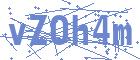 securityCode