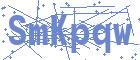 securityCode