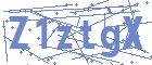 securityCode