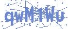 securityCode