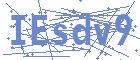 securityCode