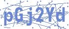 securityCode
