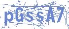 securityCode
