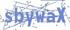 securityCode