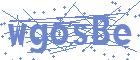 securityCode