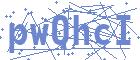 securityCode