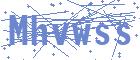securityCode