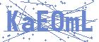 securityCode