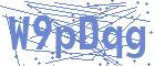 securityCode