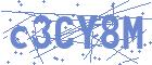 securityCode