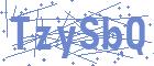 securityCode