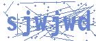 securityCode