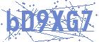securityCode