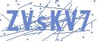 securityCode