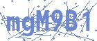 securityCode