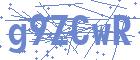 securityCode