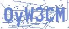 securityCode