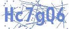 securityCode