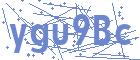 securityCode