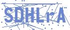 securityCode