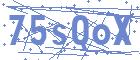 securityCode