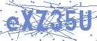 securityCode