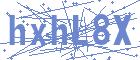 securityCode