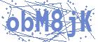 securityCode