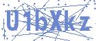 securityCode