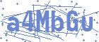 securityCode