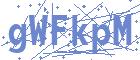 securityCode