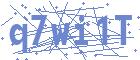 securityCode