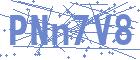 securityCode