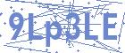 securityCode