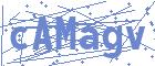 securityCode