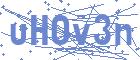 securityCode