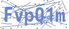 securityCode