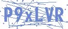 securityCode