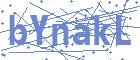 securityCode