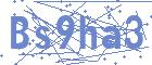 securityCode