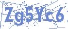 securityCode