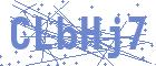 securityCode