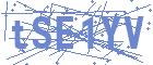 securityCode
