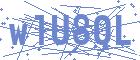 securityCode